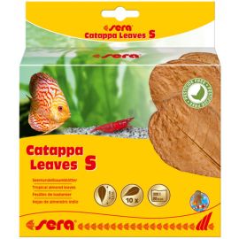 Catappa Leaves 10 ks M