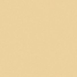 AlkorPlan Xtreme Protišmyk Sahara