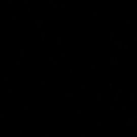 AlkorPlan Xtreme Onyx