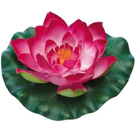 Pontec Plávajúce lekno červené