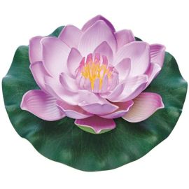 Pontec Plávajúce lekno fialové