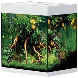 Oase StyleLine 85 akvárium biele 85 l