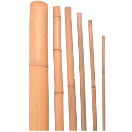 Bambusová tyč 240cm / 18-20mm