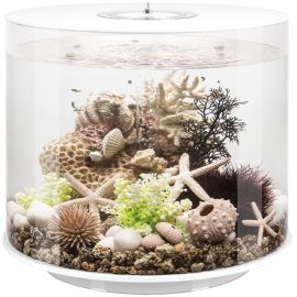 biOrb TUBE 35 LED white