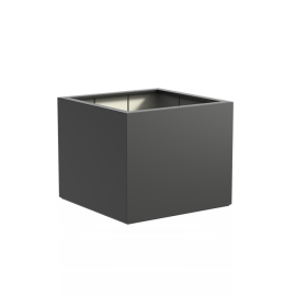 Clematis 120x120x100