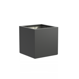 Clematis 100x100x100