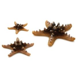 biOrb Sea Stars set prírodná 10, 8 a 5 cm