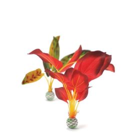 biOrb Silk Plant set zelená a červená 38 cm