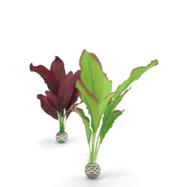 biOrb Silk Plant set zelená a fialová 29 cm