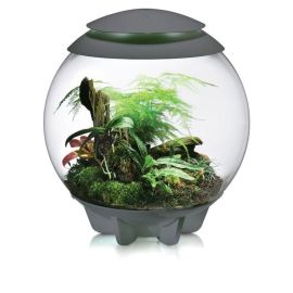 BiOrb Air Terrarium 60 - sivá 60l