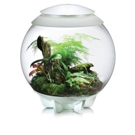BiOrb Air Terrarium - biela 60l