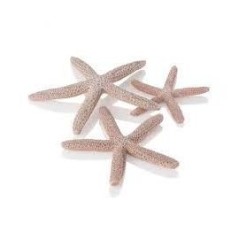 biOrb Star Fish Decor set natural 12, 10 a 8 cm