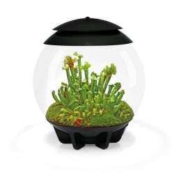 BiOrb Air 30 Terrarium - čierne 30l