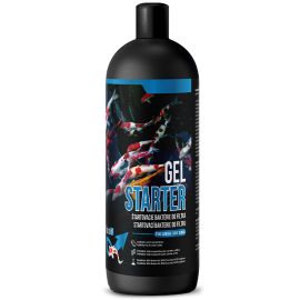 BactoUP Gel Starter 0,5l