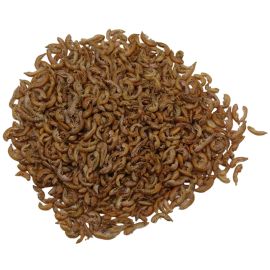 Gammarus - Sladkovodné garnáty 5L