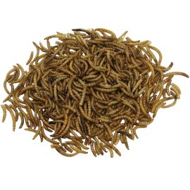 Mealworms - Múčne červy 2,5L