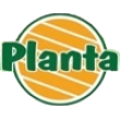 Planta